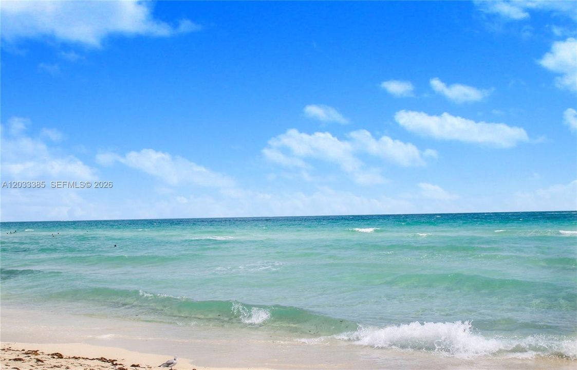 Walk to the Beach!