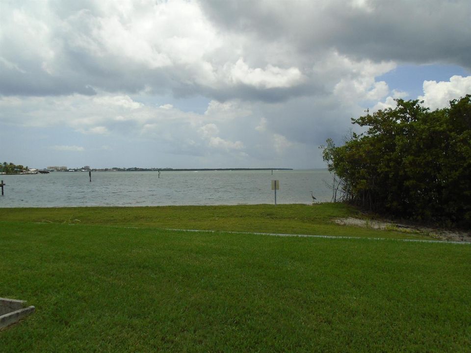 DSC00565