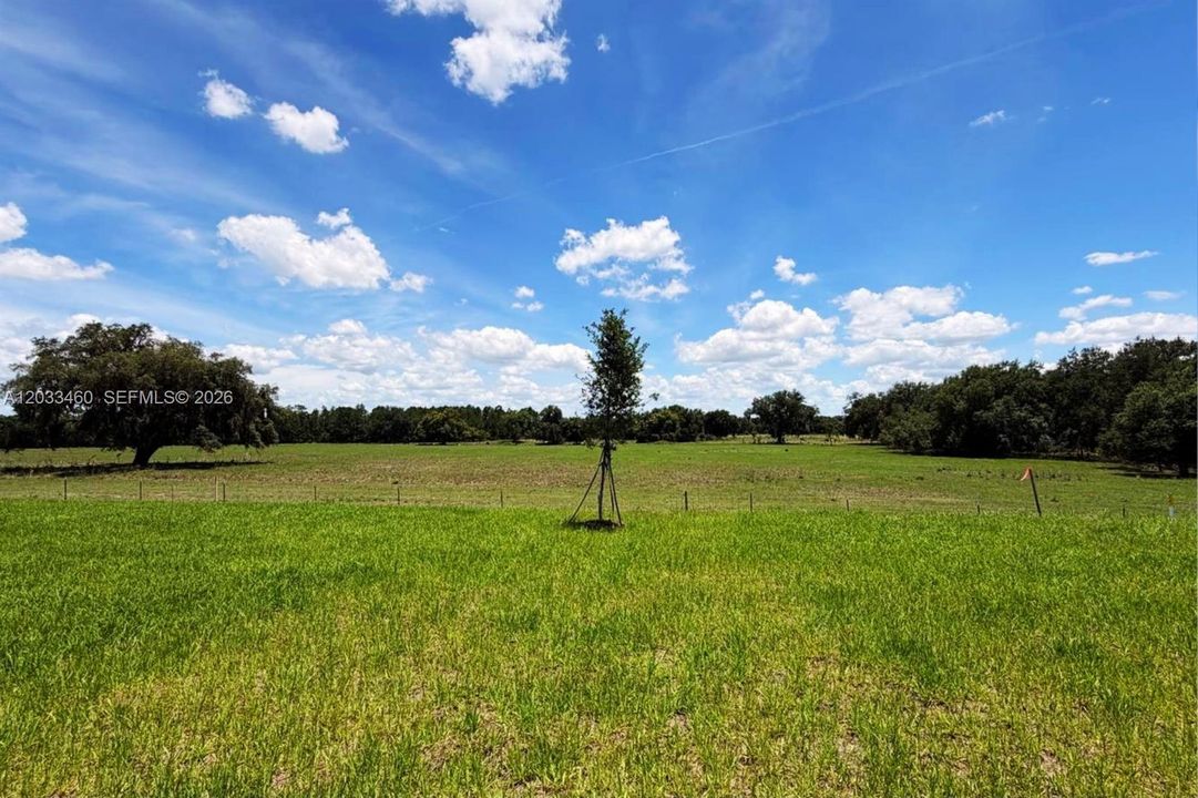 For Rent: $2,300 (3 beds, 2 baths, 1843 Square Feet)
