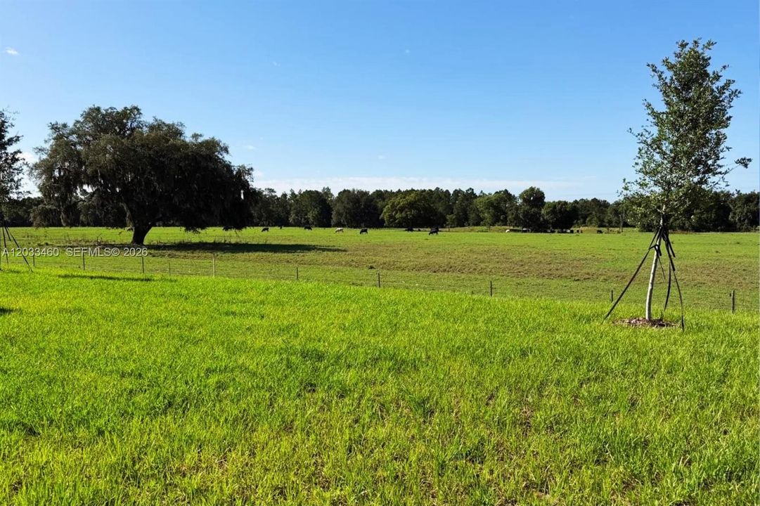 For Rent: $2,300 (3 beds, 2 baths, 1843 Square Feet)