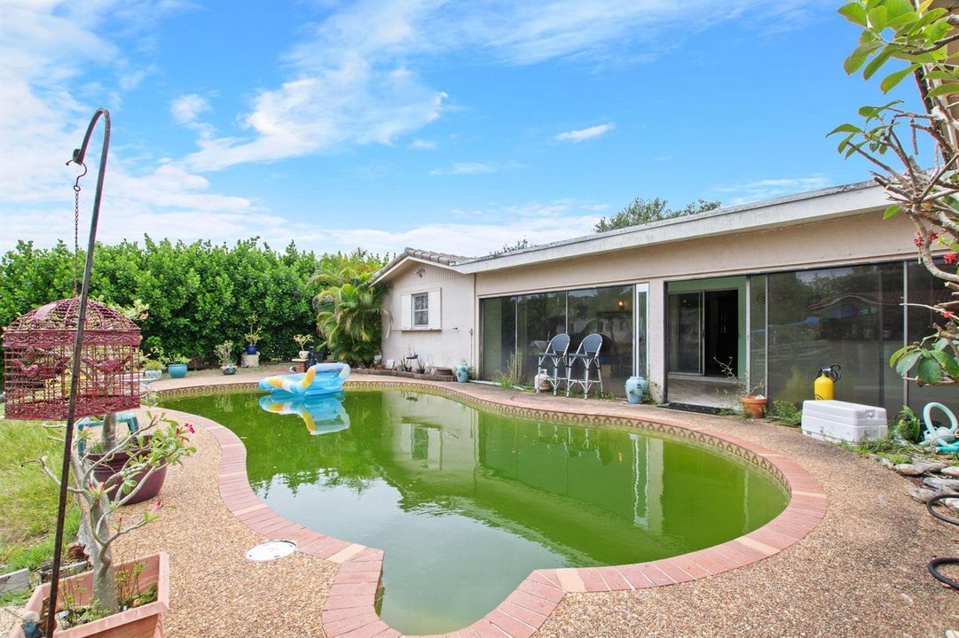Pool & Patio