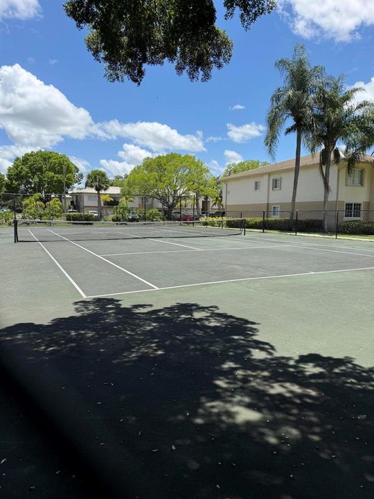 TENNIS & PICKEL!