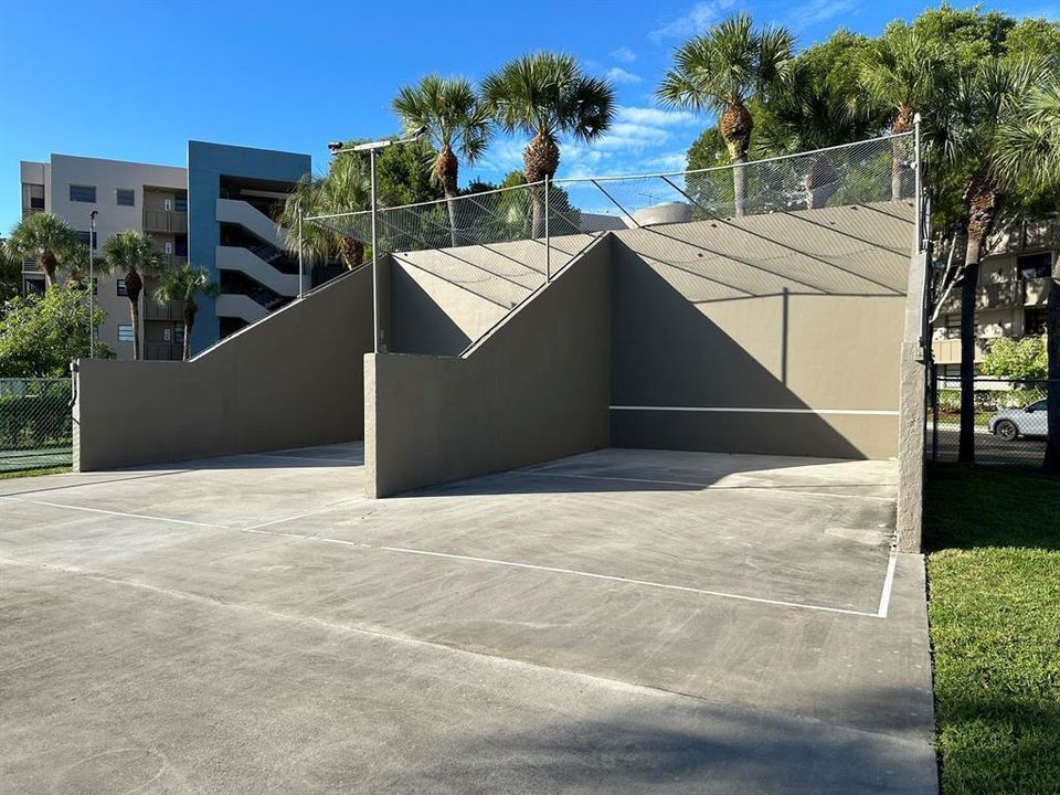 Colony Point Pickel ball