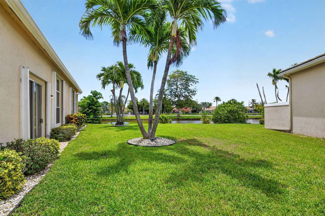 side yard