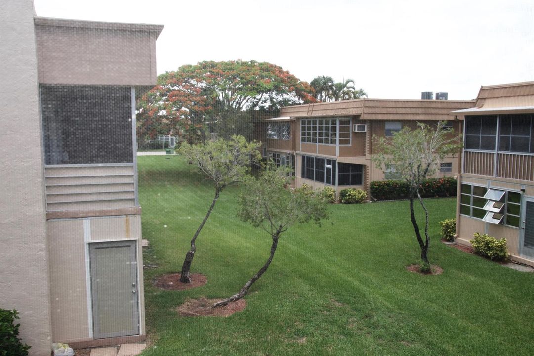 view from patio