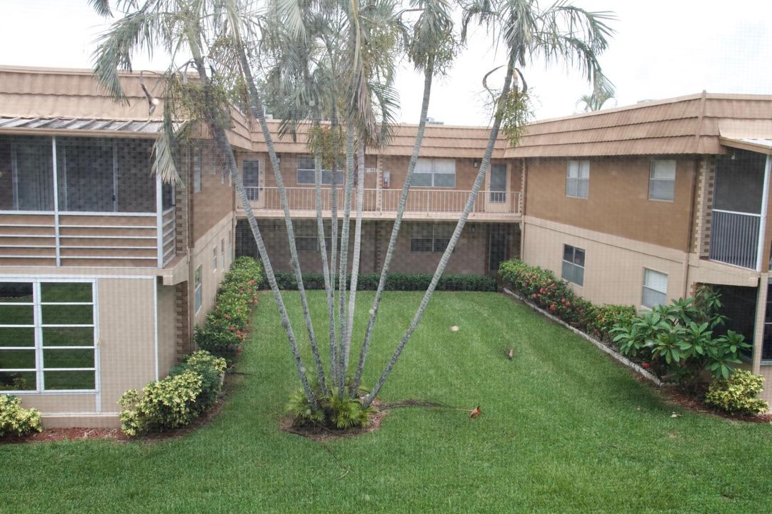 patio view