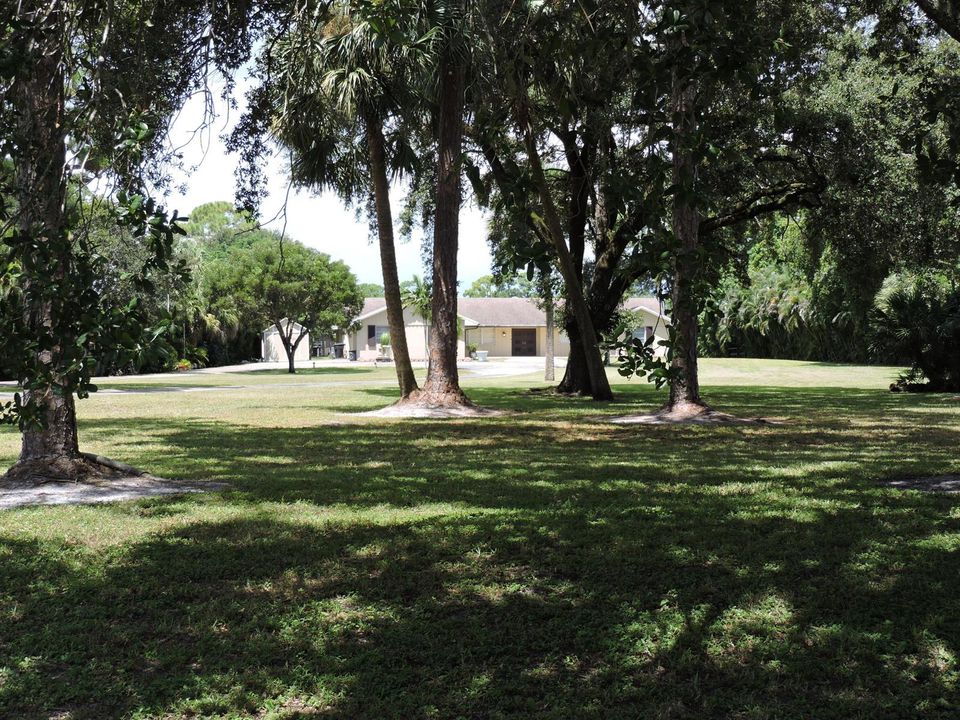 DSCN3108