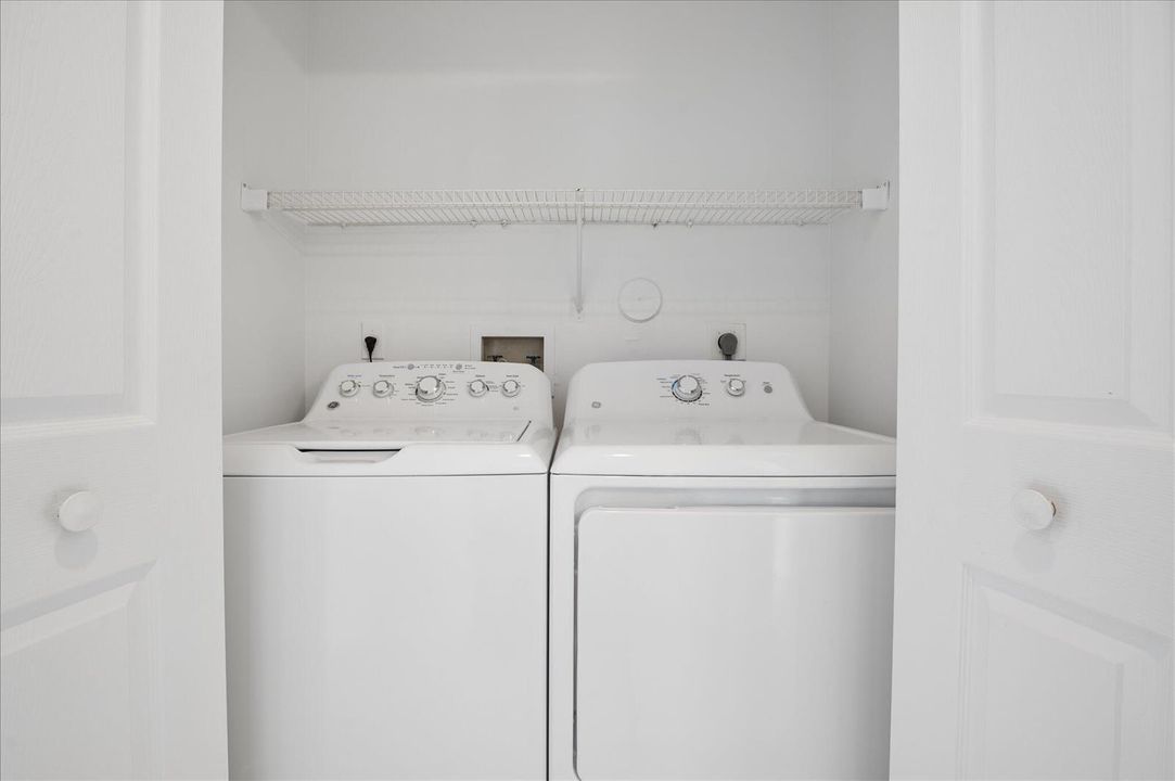 18-Steiner-10884 Royal Caribbean Cir-18