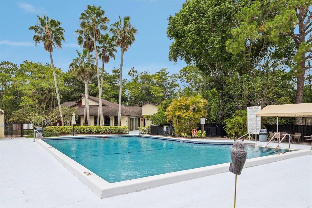 1-web-or-mls-Pinto Palm Ct-0706-901