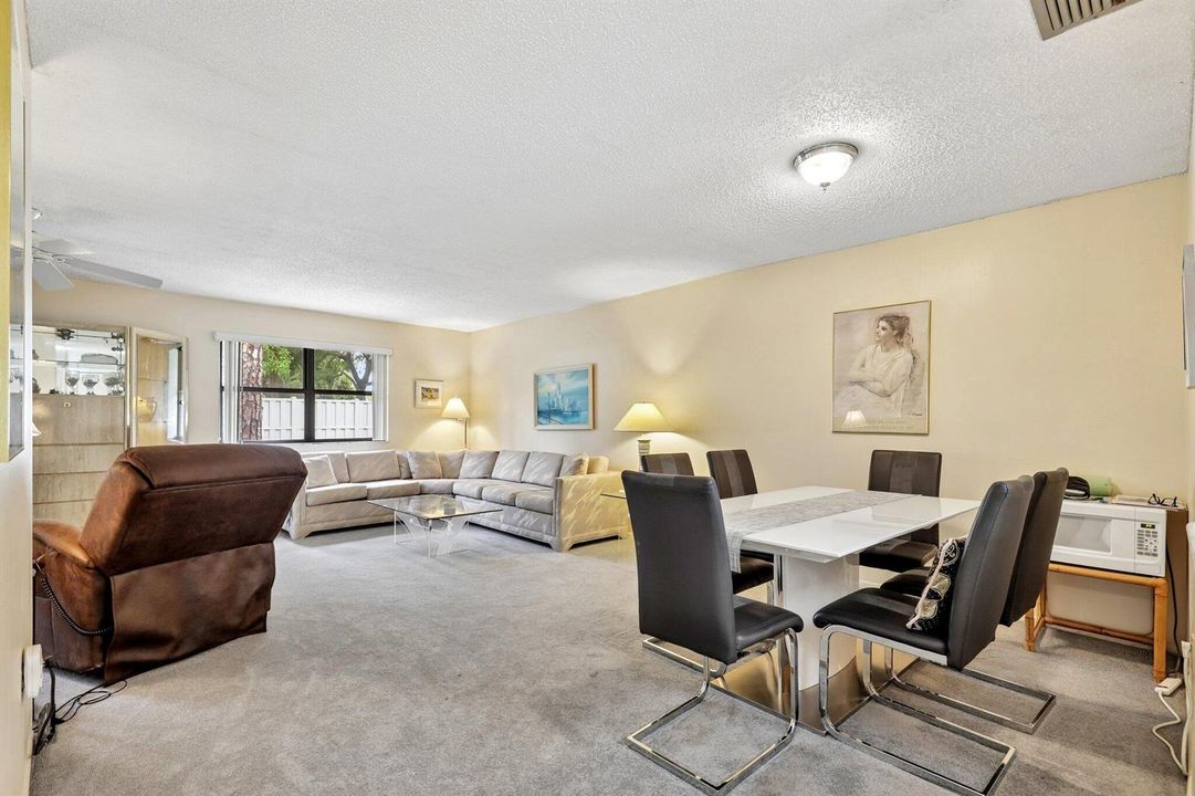 12-web-or-mls-Pinto Palm Ct-S0706-013