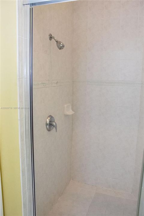 Primary Bathroom shower.