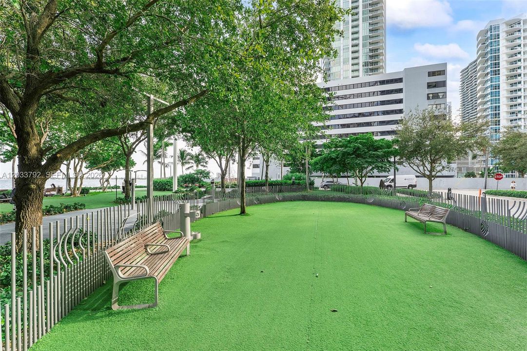 Dog Park