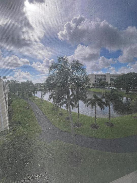 patio view