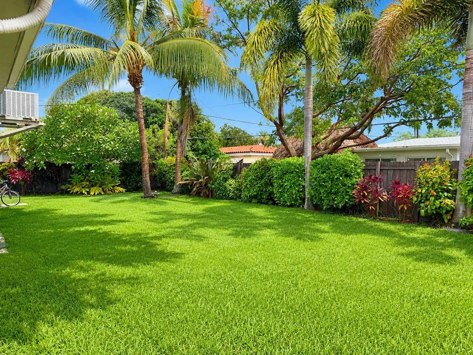 Backyard