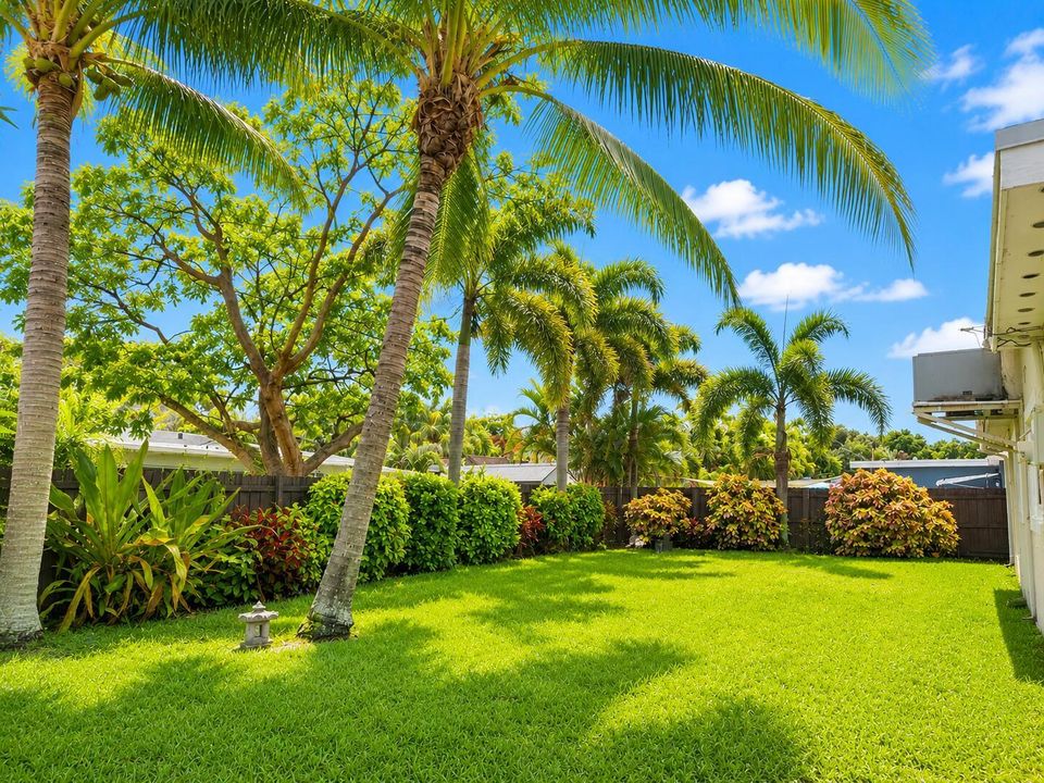 Backyard