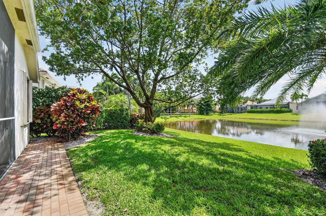 Backyard Patio & Lake View