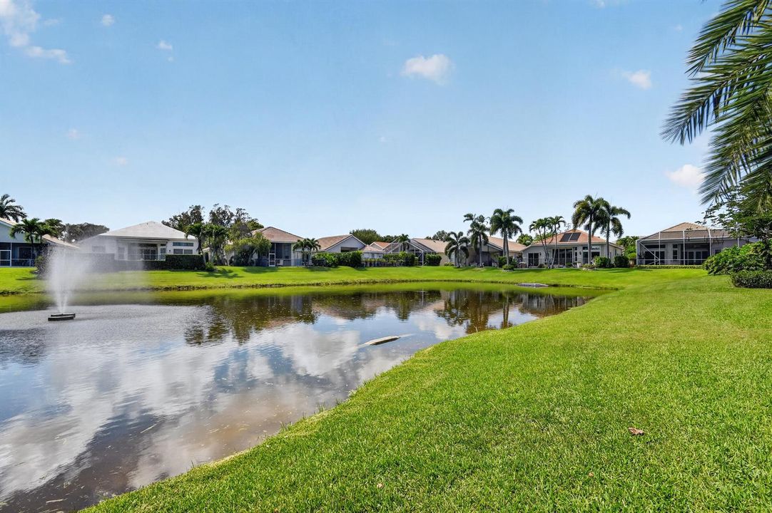 Waterfront Backyard View