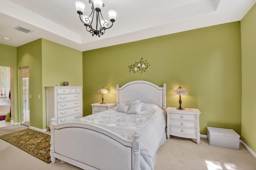 Primary Suite with Tray Ceiling