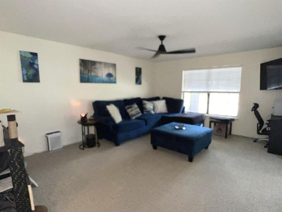 Large Living Room