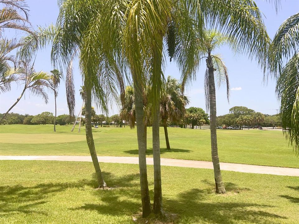 7382 Jamestown (22)