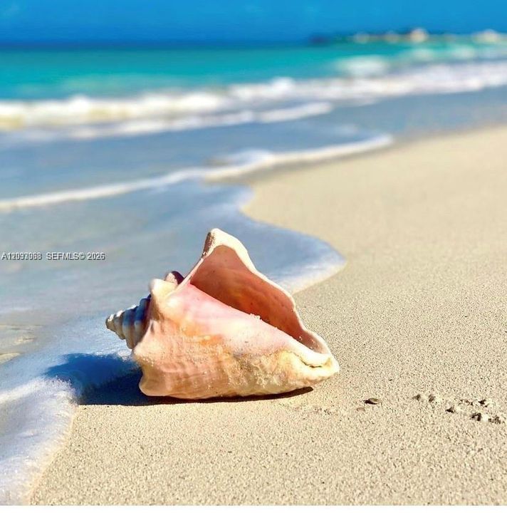 Miami Beach