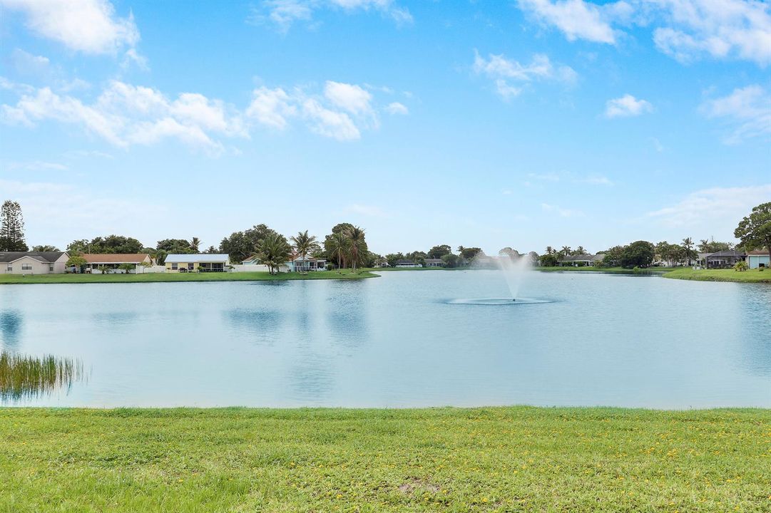 Lake Views