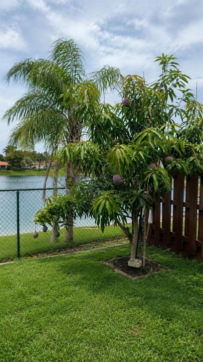 En Venta: $599,000 (4 camas, 2 baños, 1926 Pies cuadrados)