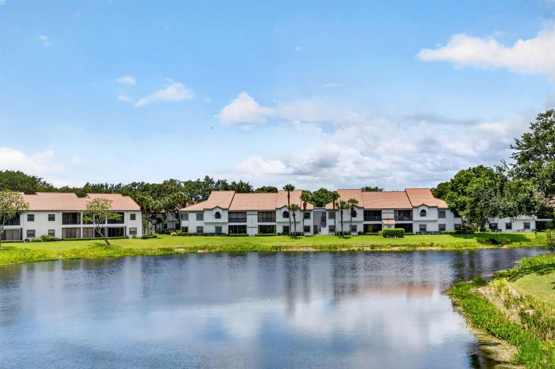 LAKE FRONT VIEWS