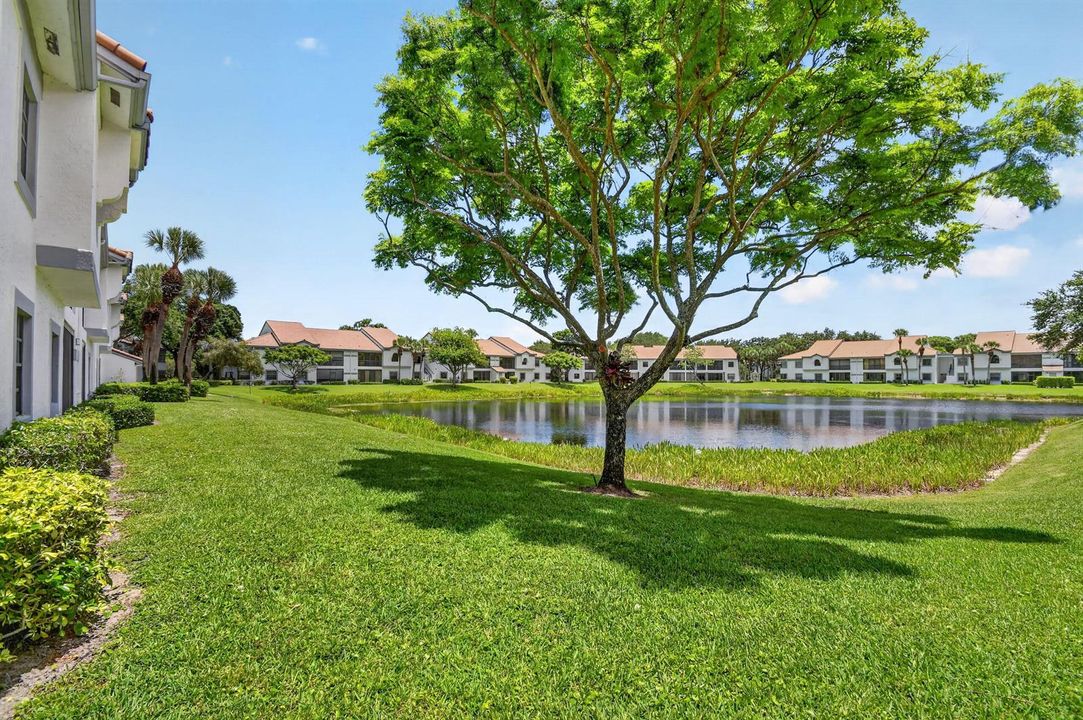 LAKE VIEW W/LUSH LANDSCAPE