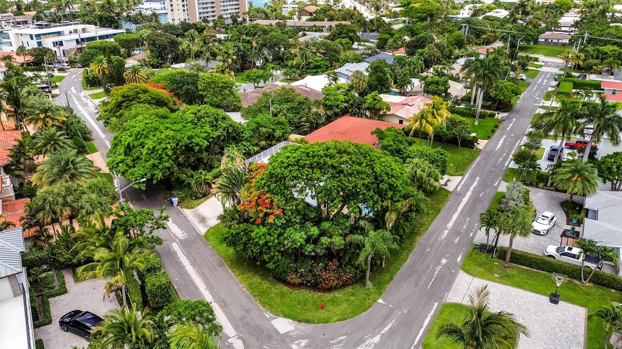 DJI_0922