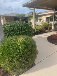 Front Walkway