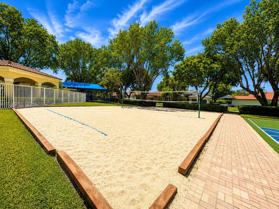 Volleyball court