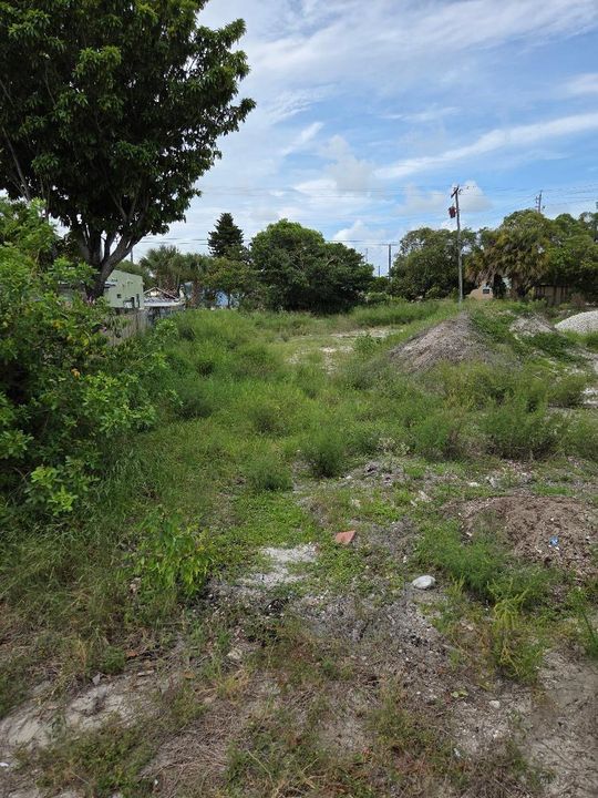 lot pic 6 6