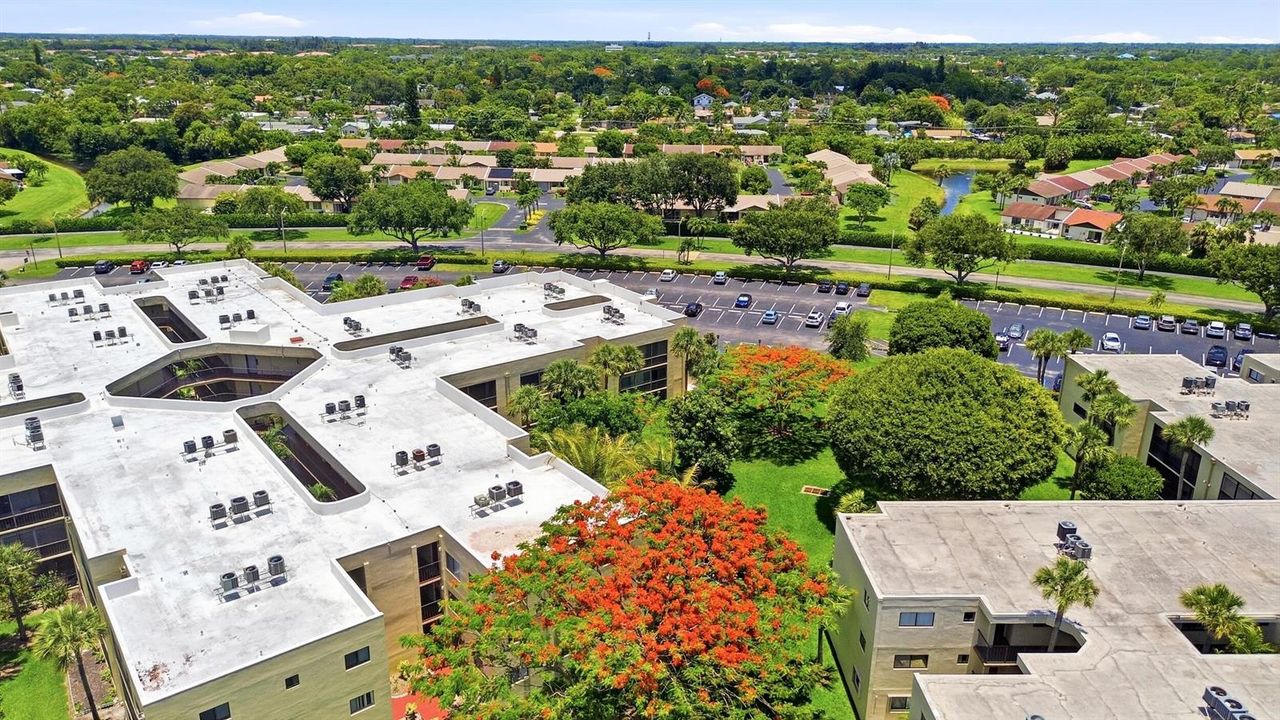 36_dji_0682