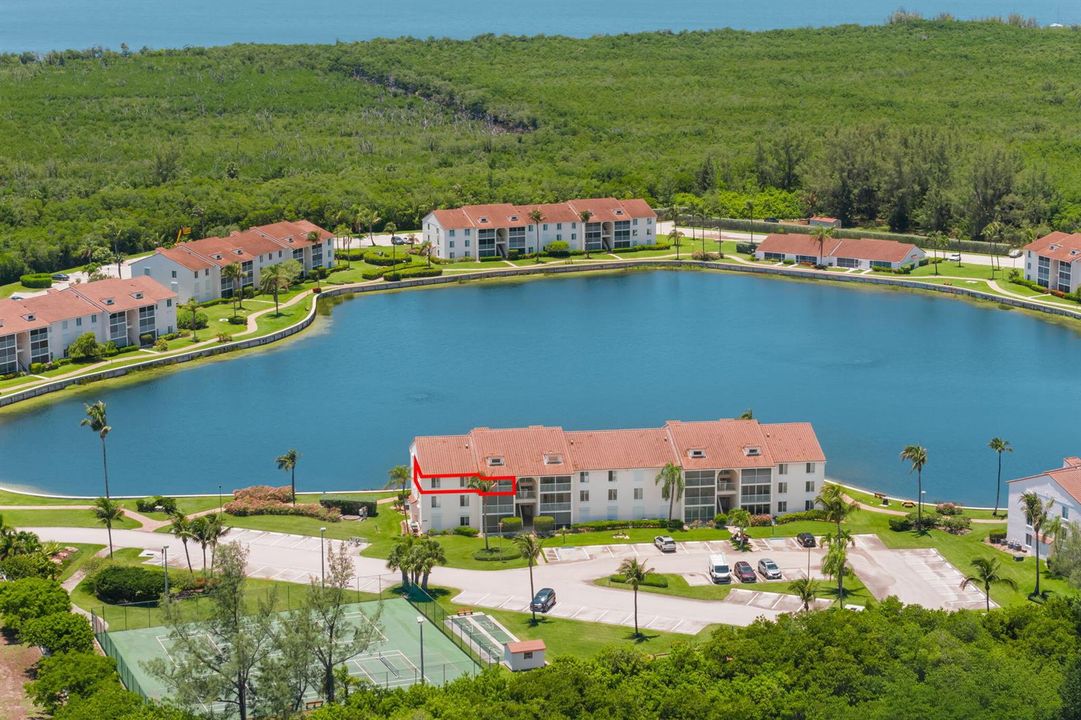 Aerial Views