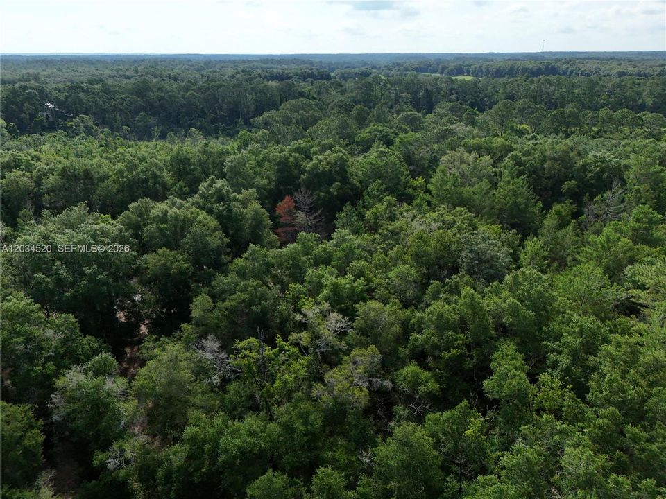 For Sale: $35,000 (2.50 acres)