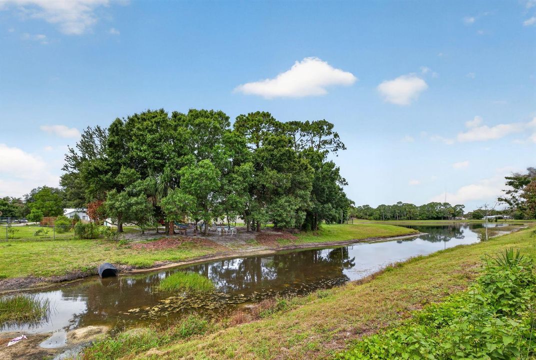 38-web-or-mls-3A5A8346