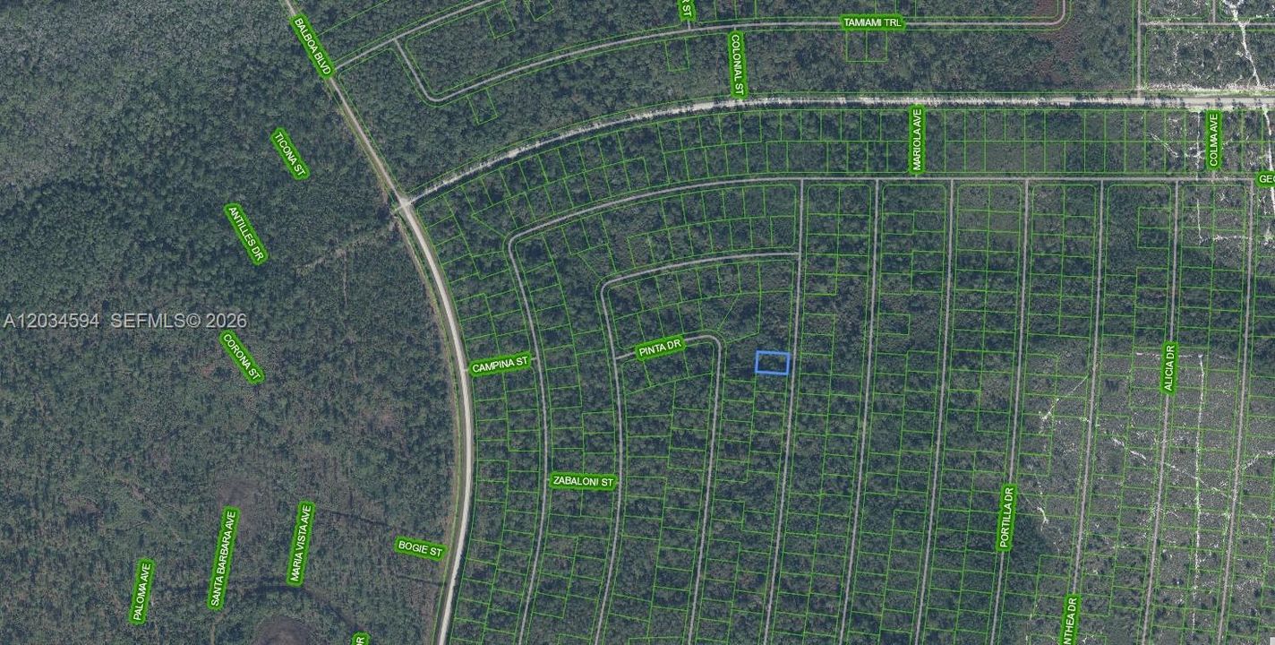 For Sale: $6,900 (0.23 acres)