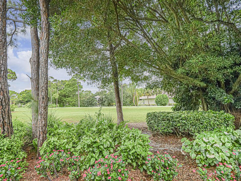 Golf Course View