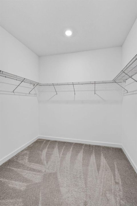 51-web-or-mls-BS1A7553