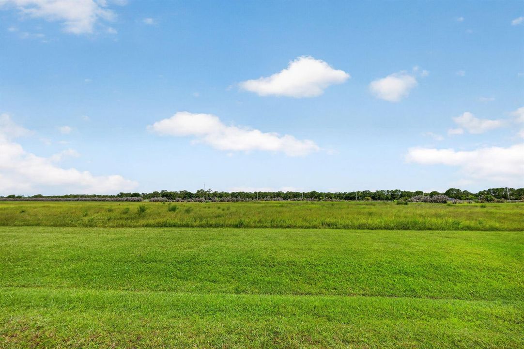 1-web-or-mls-3A5A9152
