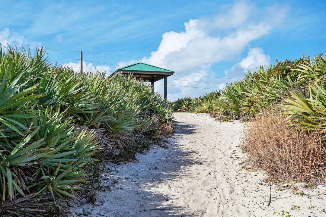 LoggerheadPark01