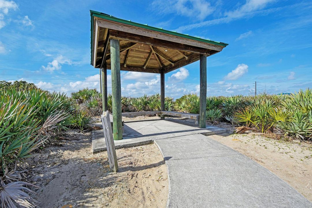 LoggerheadPark02