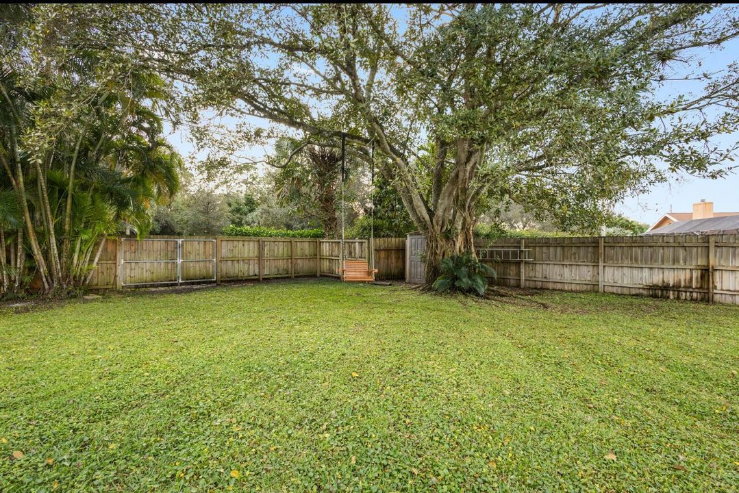 Back Yard