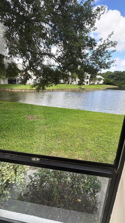 lake view