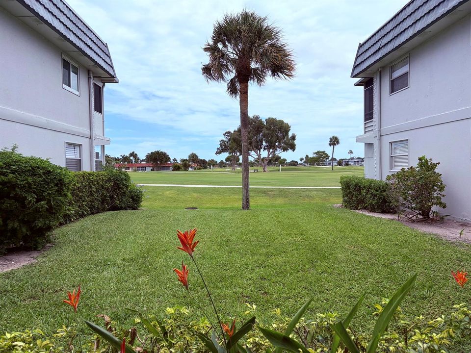 Golf view