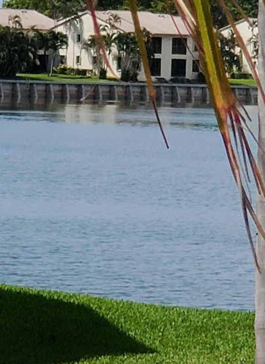 20200601_104311 (2)