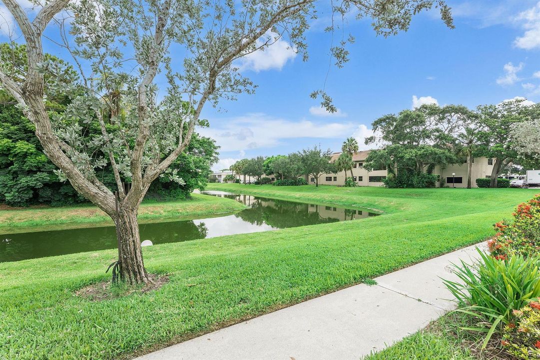 13-web-or-mls-DSC06658