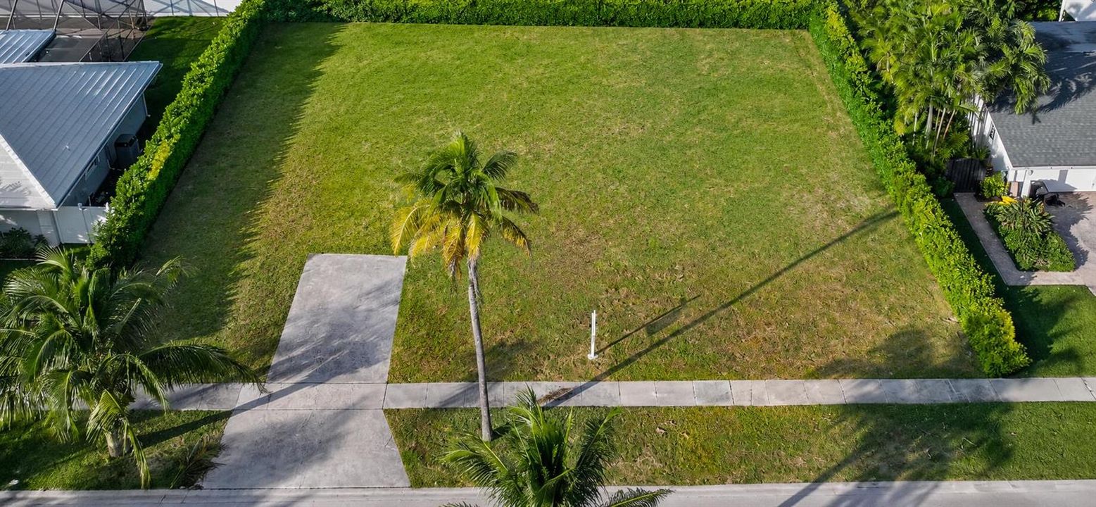 AERIAL
