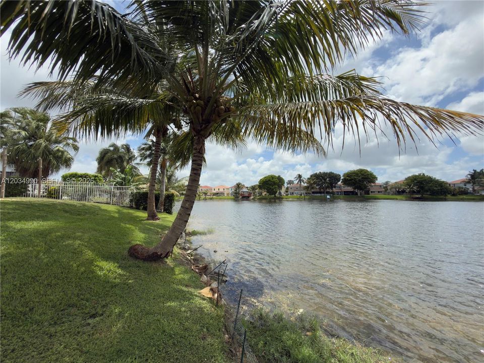 Tropical Trees
